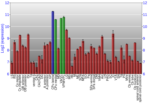 Multi-state expression graph