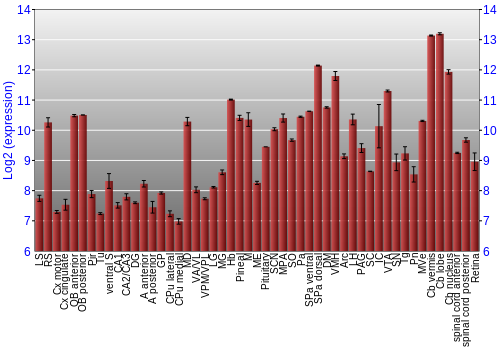 Expression graph