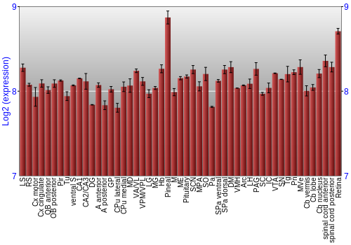 Expression graph