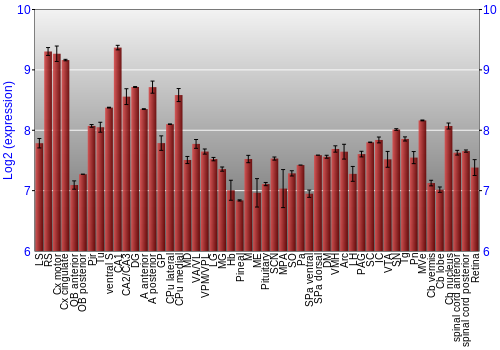 Expression graph