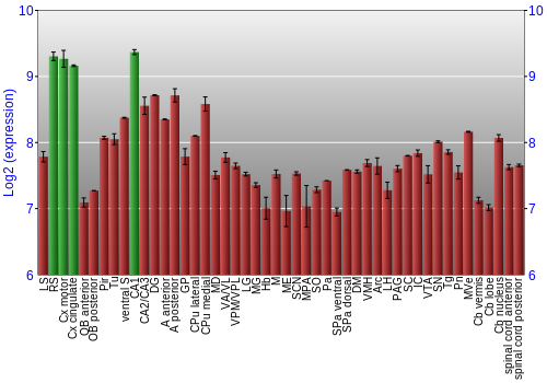 Multi-state expression graph