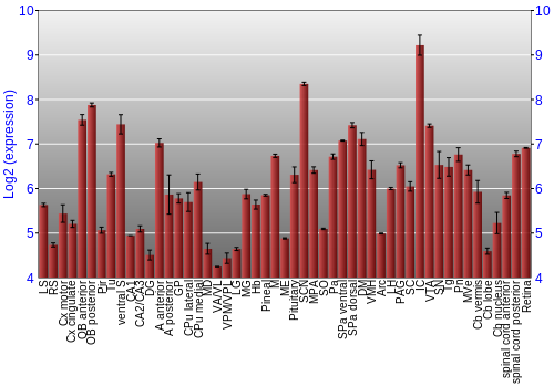 Expression graph