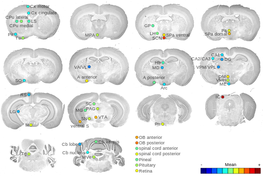 Expression map