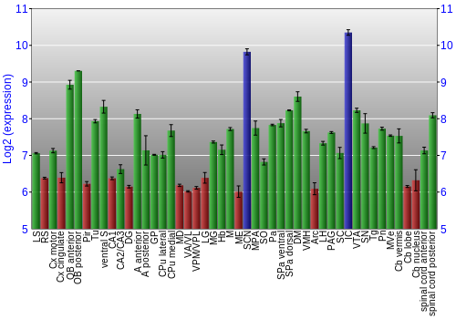 Multi-state expression graph