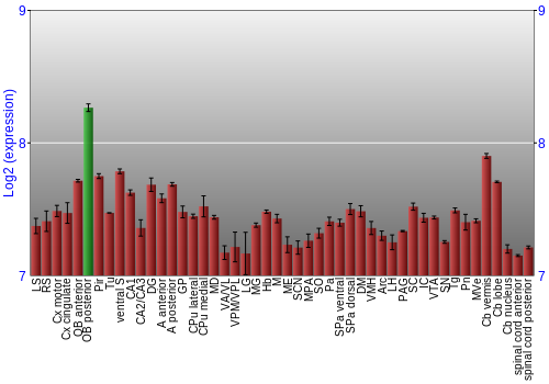 Multi-state expression graph