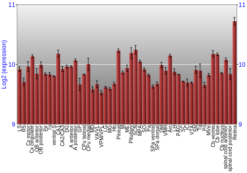 Expression graph