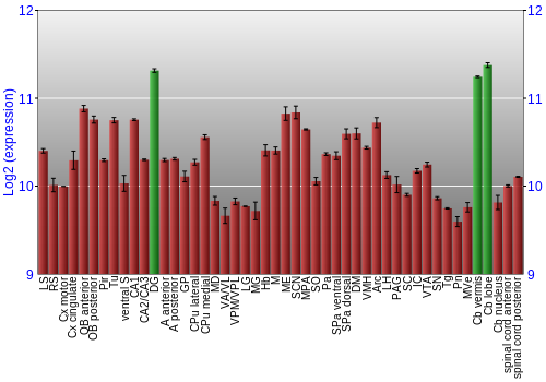 Multi-state expression graph