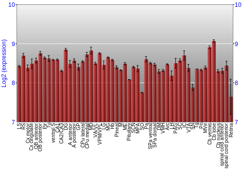Expression graph