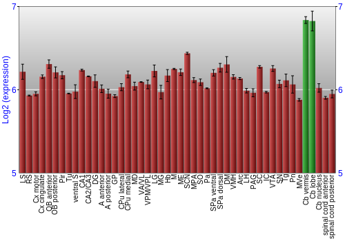 Multi-state expression graph