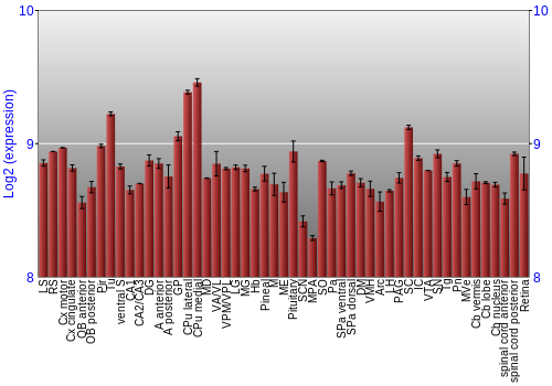 Expression graph