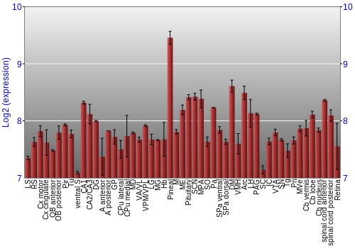 Expression graph