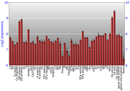 Expression graph