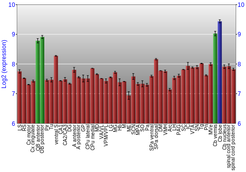 Multi-state expression graph
