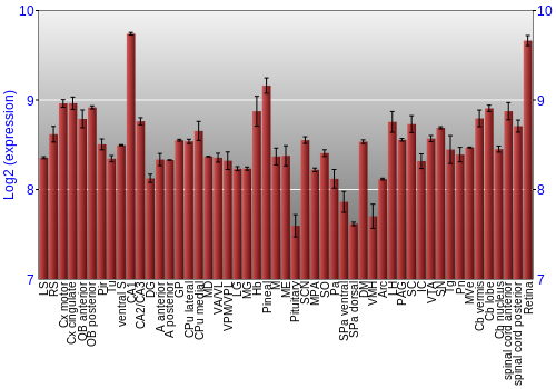Expression graph