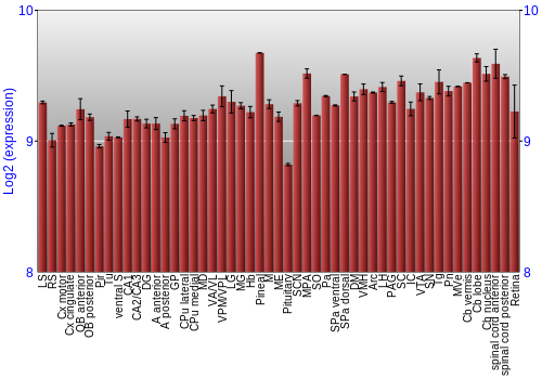 Expression graph