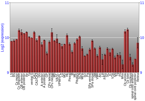 Expression graph