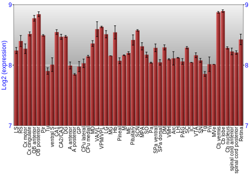 Expression graph