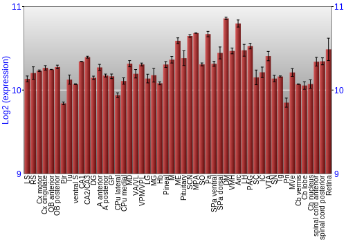 Expression graph