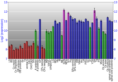 Multi-state expression graph