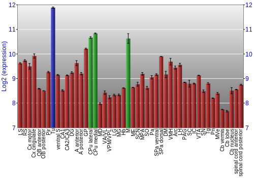 Multi-state expression graph