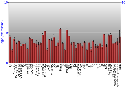 Expression graph