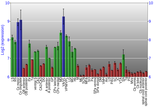 Multi-state expression graph