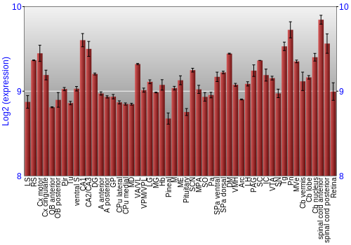 Expression graph