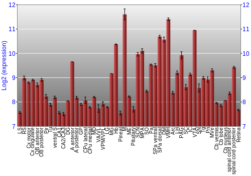 Expression graph