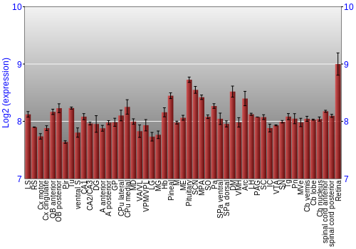 Expression graph