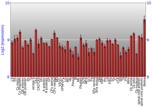 Expression graph