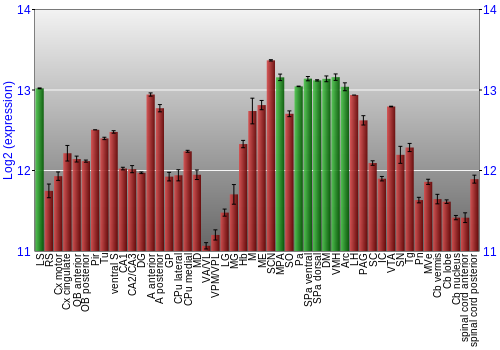 Multi-state expression graph