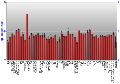 Expression graph