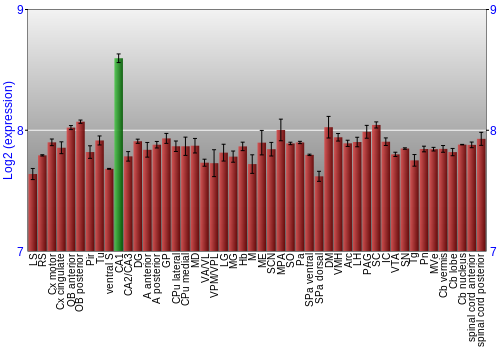 Multi-state expression graph