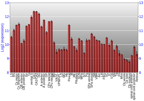 Expression graph