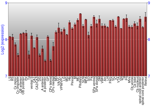 Expression graph