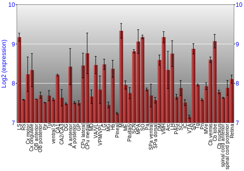 Expression graph
