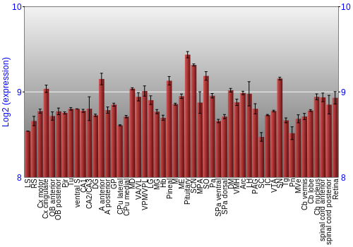 Expression graph