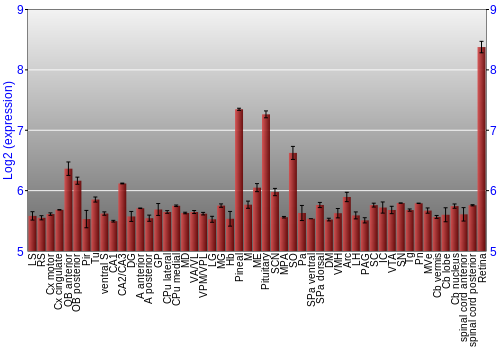Expression graph