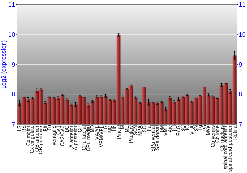 Expression graph