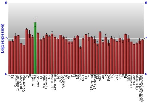 Multi-state expression graph
