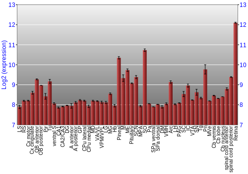 Expression graph