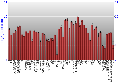 Expression graph