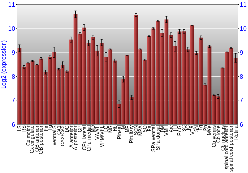 Expression graph