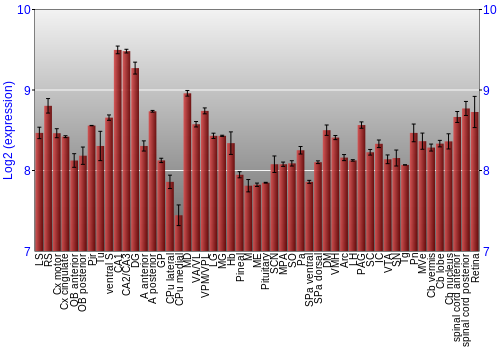 Expression graph
