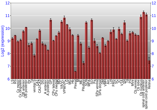 Expression graph