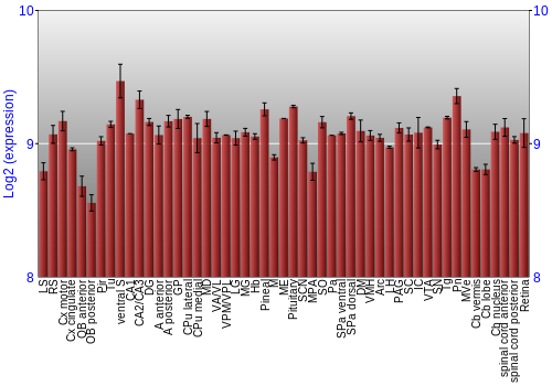 Expression graph