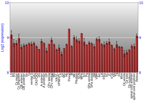 Expression graph