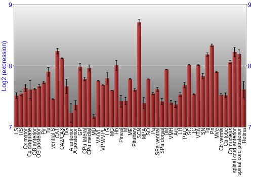 Expression graph