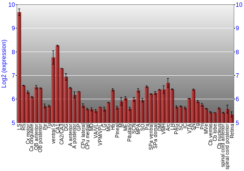 Expression graph