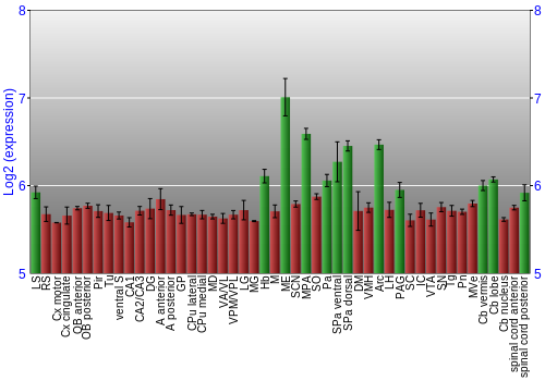 Multi-state expression graph